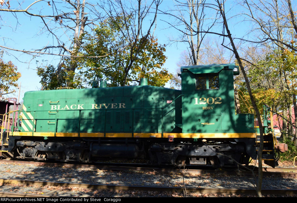 BDRV 1202 Broadside Shot and Basking in the November Sun